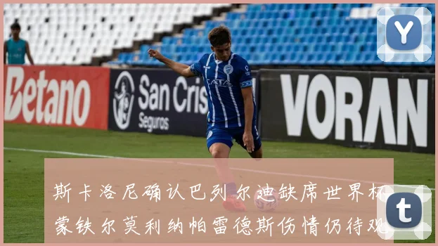斯卡洛尼确认巴列尔迪缺席世界杯蒙铁尔莫利纳帕雷德斯伤情仍待观察