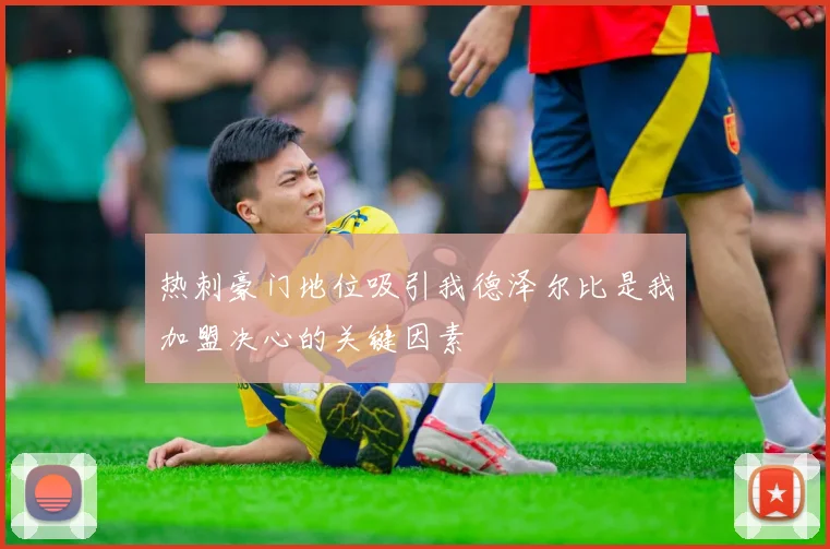 热刺豪门地位吸引我德泽尔比是我加盟决心的关键因素